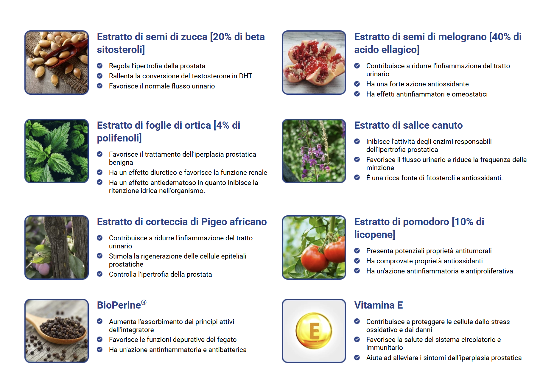 Ingredienti Prostan Plus